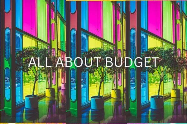 course | All about Budgeting